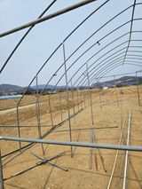 장은주님의 작성글 사진