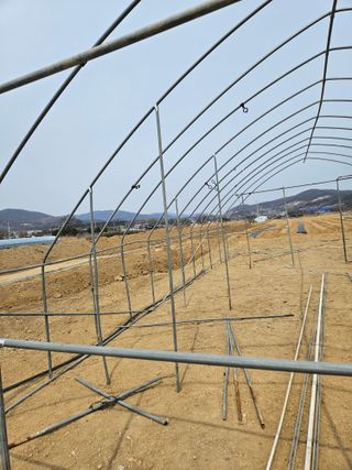 장은주님의 두릅 · 영농일지 작성글 사진