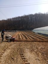 팜모닝 기타작물·영농일지 게시글 이미지