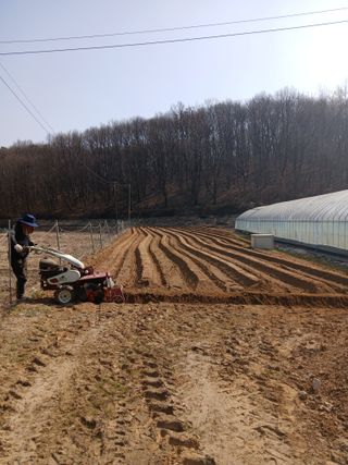 고추농사님의 기타작물 · 영농일지 작성글 사진