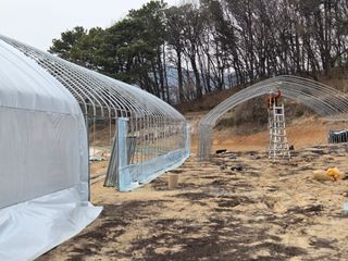 최연숙님의 기타작물 · 영농일지 작성글 사진