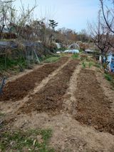 이정식님의 작성글 사진