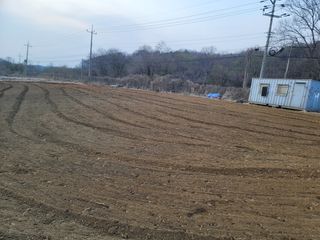 신승철님의 콩 · 영농일지 작성글 사진