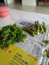 이정식님의 작성글 사진