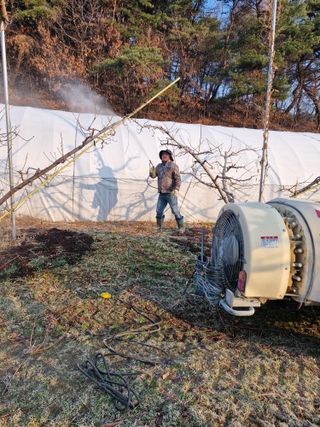백운농원 님의 복숭아 · 영농일지 작성글 사진