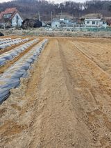 온바위님의 작성글 사진