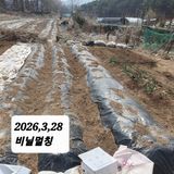 팜모닝 기타작물·영농일지 게시글 이미지