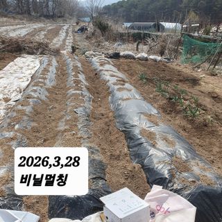 시민농장님의 기타작물 · 영농일지 작성글 사진