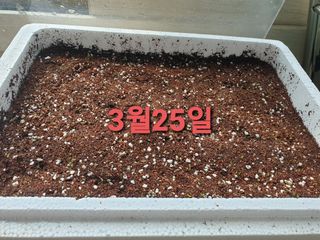 황강순님의 기타작물 · 영농일지 작성글 사진