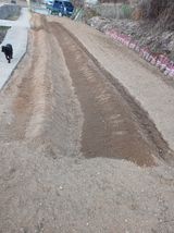 팜모닝 옥수수·영농일지 게시글 이미지