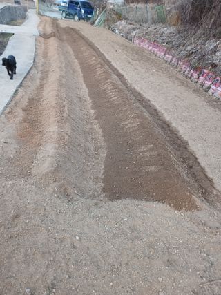 소율이네농장님의 옥수수 · 영농일지 작성글 사진