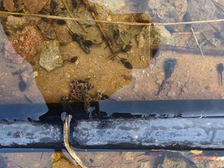 김성환님의 기타작물 · 영농일지 작성글 사진