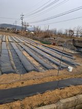 백영호님의 작성글 사진