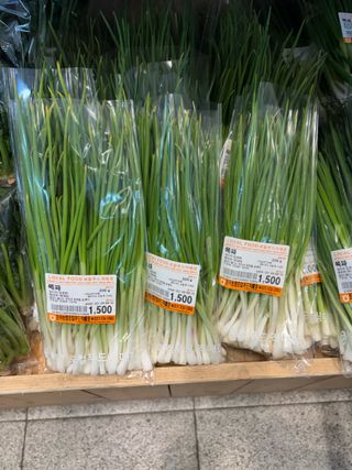 김영완님의 파 · 영농일지 작성글 사진