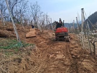 영수농원님의 감 · 영농일지 작성글 사진