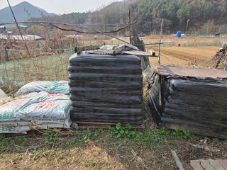 김윤회님의 파 · 영농일지 작성글 사진