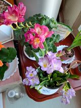 결단이님의 작성글 사진