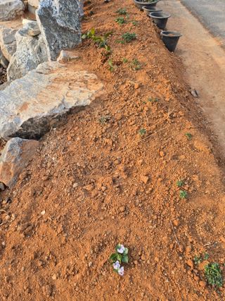 송명식님의 기타작물 · 영농일지 작성글 사진