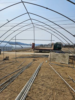 장은주님의 두릅 · 영농일지 작성글 사진