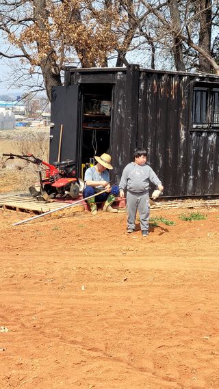 로만아빠님의 감자 · 영농일지 작성글 사진
