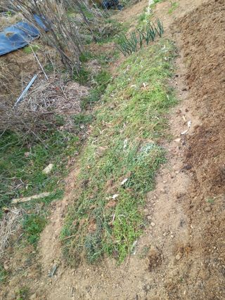 이정식님의 작성글 사진