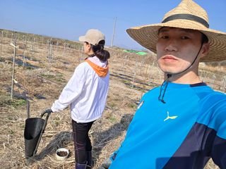 들깨19419님의 옥수수 · 영농일지 작성글 사진