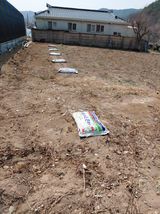 팜모닝 고추·영농일지 게시글 이미지