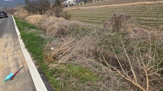 정진우님의 기타작물 · 영농일지 작성글 사진