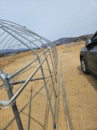 장은주님의 작성글 사진