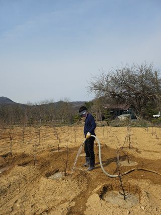 상추22033님의 기타작물 · 영농일지 작성글 사진