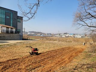 로만아빠님의 감자 · 영농일지 작성글 사진