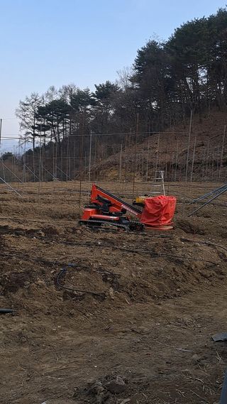 양배추20804님의 기타작물 · 영농일지 작성글 사진