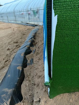 농린이님의 기타작물 · 영농일지 작성글 사진