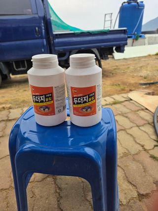 콩7431(팔공산)님의 복숭아 · 영농일지 작성글 사진