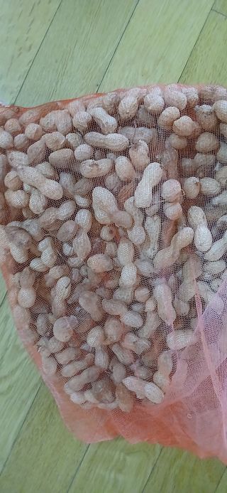 정연섭님의 기타작물 · 영농일지 작성글 사진