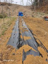 팜모닝 기타작물·영농일지 게시글 이미지