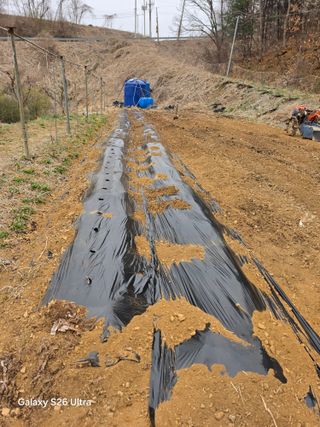 김종협님의 기타작물 · 영농일지 작성글 사진