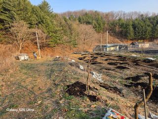 김종협님의 기타작물 · 영농일지 작성글 사진