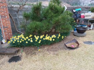 최정윤님의 기타작물 · 영농일지 작성글 사진