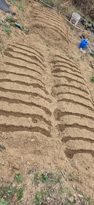 경주농장님의 양파 · 영농일지 작성글 사진