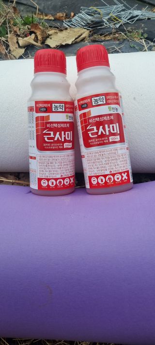 (팽나무*공주)님의 기타작물 · 영농일지 작성글 사진