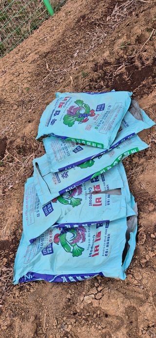 골드래곤님의 콩 · 영농일지 작성글 사진