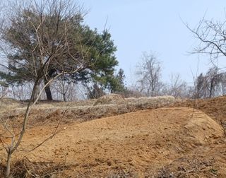 열남님의 기타작물 · 영농일지 작성글 사진