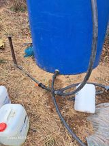 조연만님의 작성글 사진