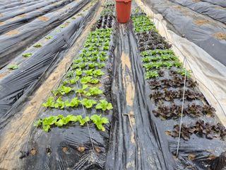 이경옥님의 작성글 사진