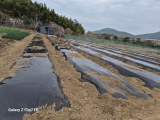 덕포킴님의 기타작물 · 영농일지 작성글 사진