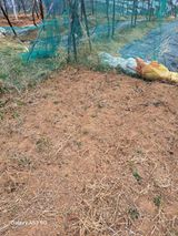 조연만님의 작성글 사진