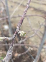 팜모닝 기타작물·영농일지 게시글 이미지