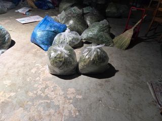 쌍둥이농장님의 기타작물 · 영농일지 작성글 사진