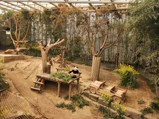 꿀복이농장님의 작성글 사진